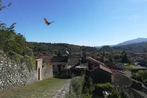 Borgo del Piagnaro, Pontremoli