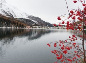 Lago di Sankt Moritz