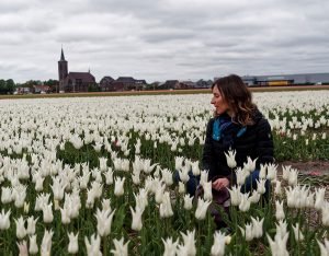 Ammirare la fioritura dei tulipani in Olanda