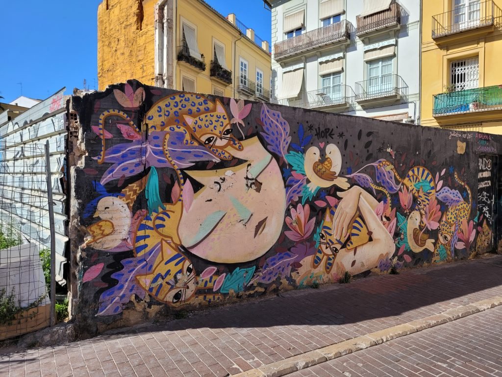 Street art a Valencia, Barrio del Carmen